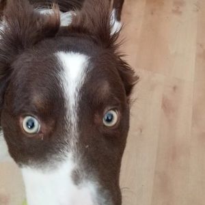 Meet your Posher, Kate